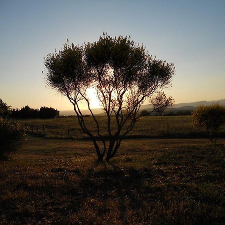Agriturismo Il Grillo Parlante Pitigliano Ngoại thất bức ảnh