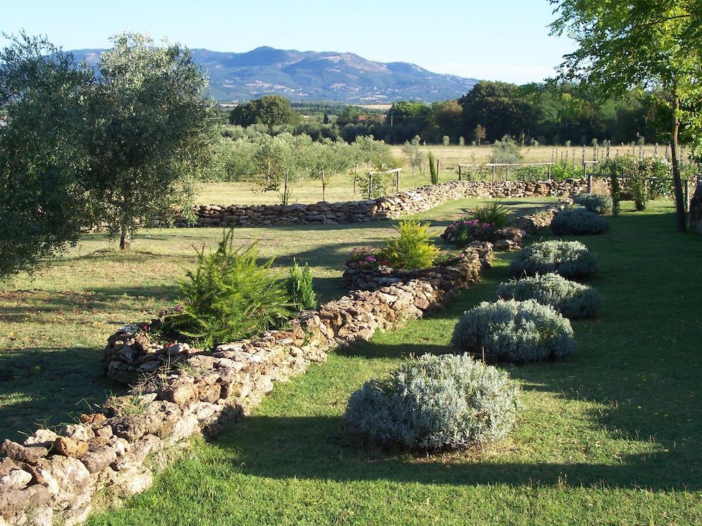 Agriturismo Il Grillo Parlante Pitigliano Ngoại thất bức ảnh