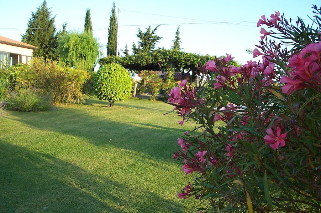 Agriturismo Il Grillo Parlante Pitigliano Ngoại thất bức ảnh