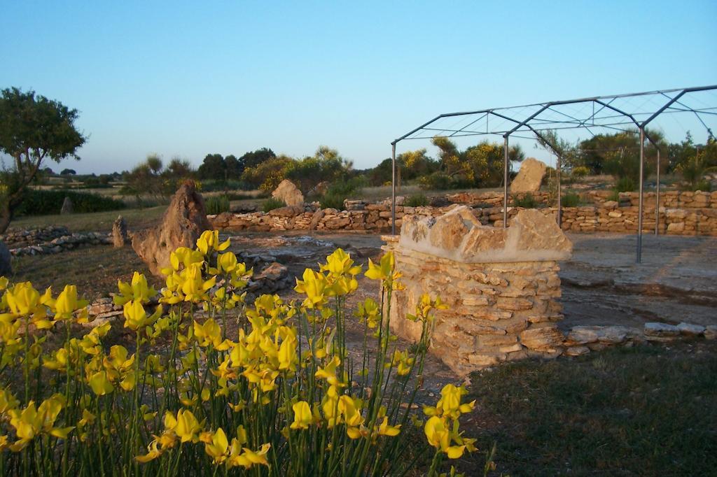 Agriturismo Il Grillo Parlante Pitigliano Ngoại thất bức ảnh