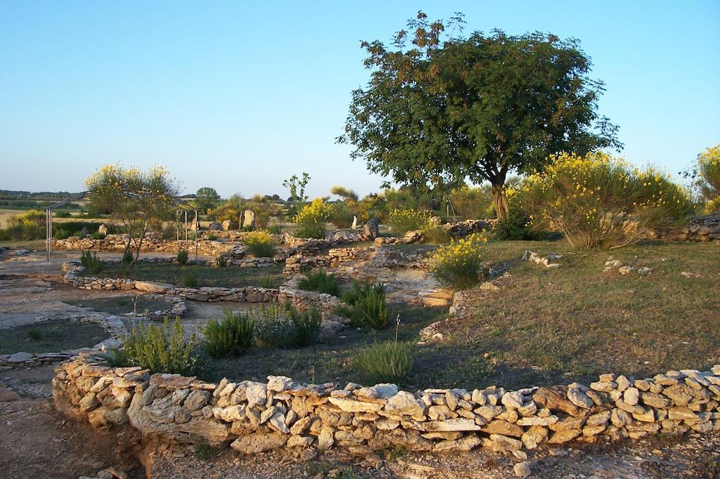 Agriturismo Il Grillo Parlante Pitigliano Ngoại thất bức ảnh