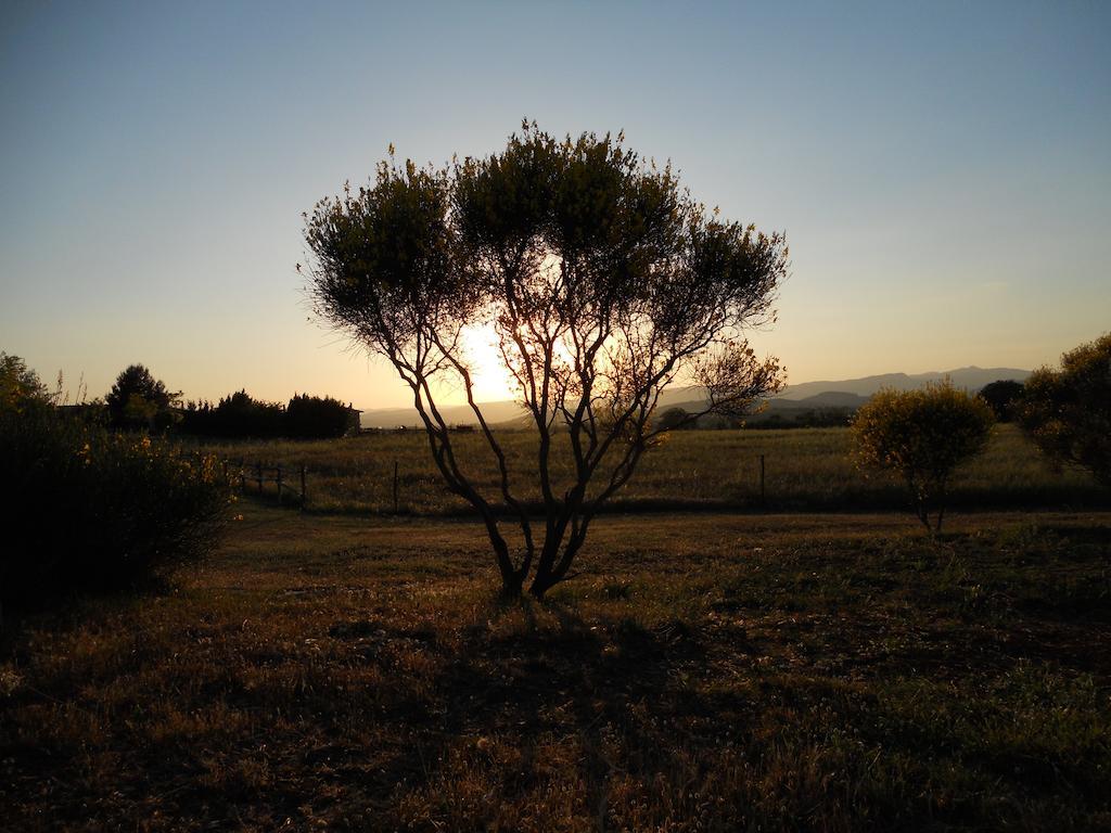Agriturismo Il Grillo Parlante Pitigliano Ngoại thất bức ảnh