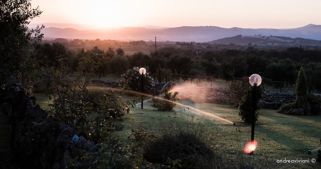 Agriturismo Il Grillo Parlante Pitigliano Ngoại thất bức ảnh