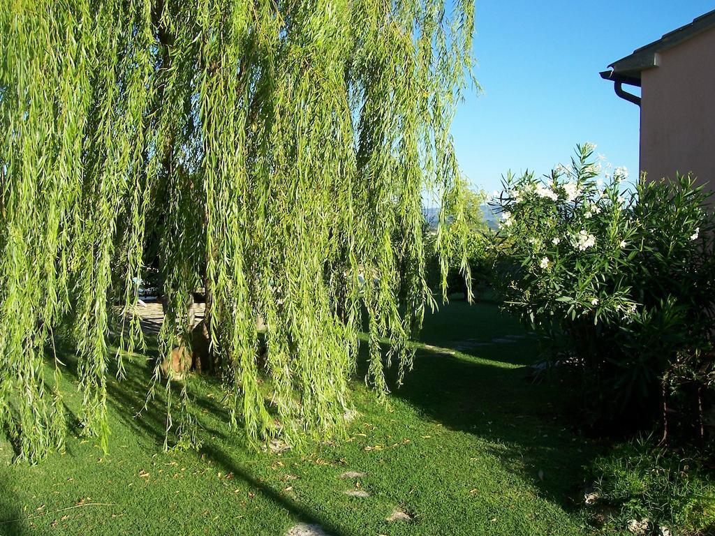 Agriturismo Il Grillo Parlante Pitigliano Ngoại thất bức ảnh